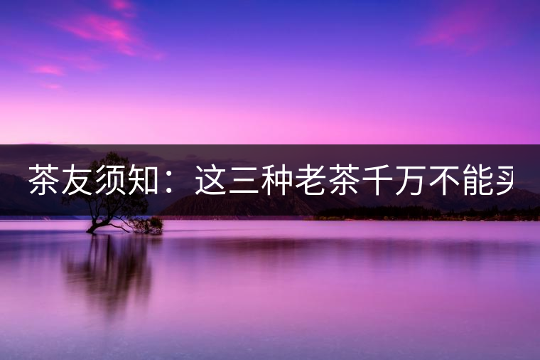 茶友須知：這三種老茶千萬不能買！
