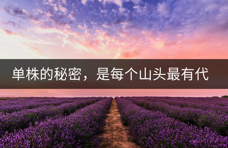 單株的秘密，是每個山頭最有代表性的味道？