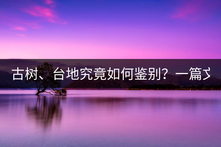 古樹、臺地究竟如何鑒別？一篇文章說透！
