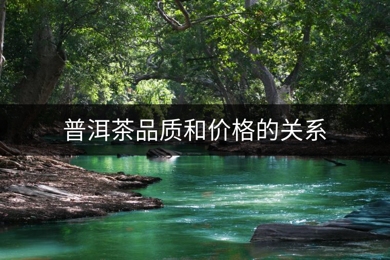 普洱茶品質(zhì)和價格的關系