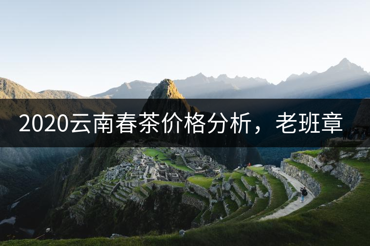 2020云南春茶價(jià)格分析，老班章依然將獨(dú)占鰲頭？