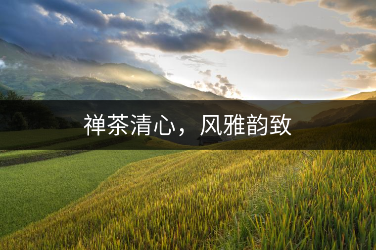 禪茶清心，風(fēng)雅韻致