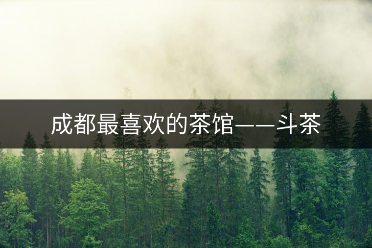 成都最喜歡的茶館——斗茶