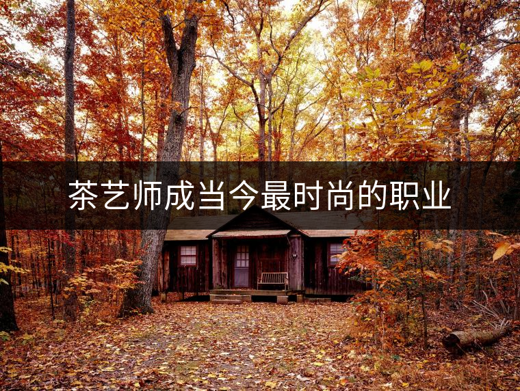 茶藝師成當(dāng)今最時尚的職業(yè)