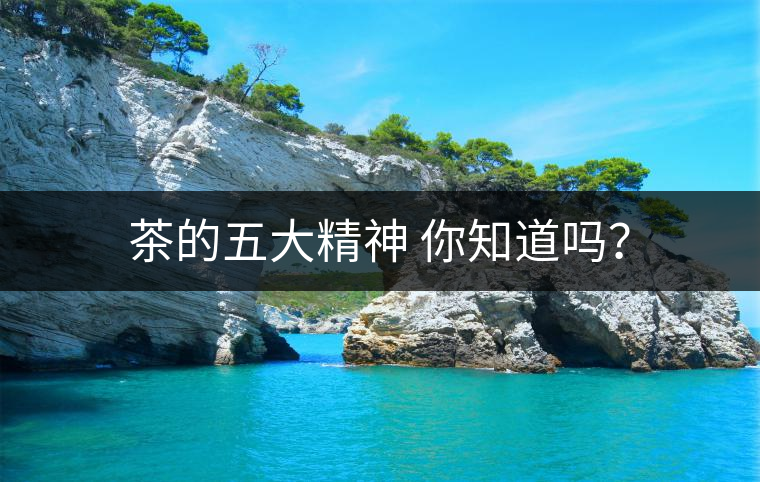 茶的五大精神 你知道嗎？