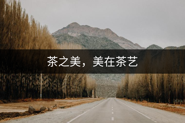 茶之美，美在茶藝