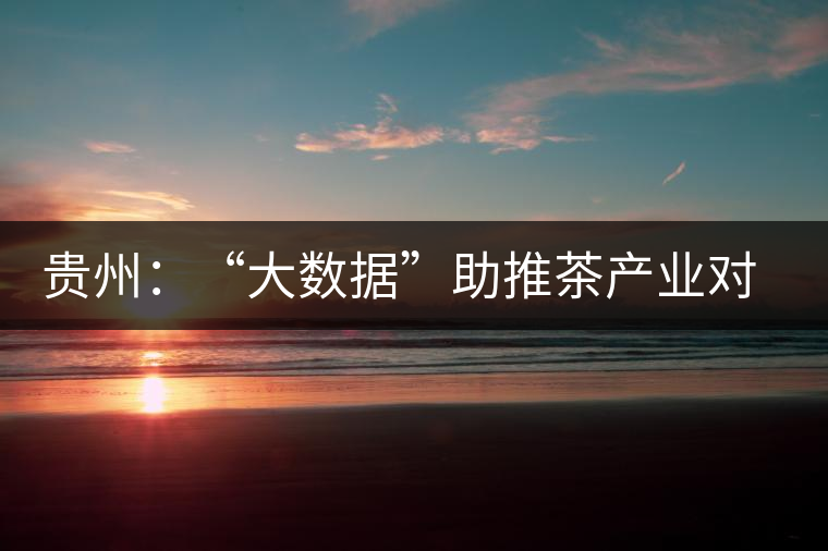 貴州：“大數(shù)據(jù)”助推茶產(chǎn)業(yè)對接資本市場