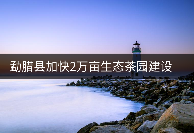 勐臘縣加快2萬畝生態(tài)茶園建設(shè)，促進(jìn)茶葉產(chǎn)業(yè)持續(xù)發(fā)展