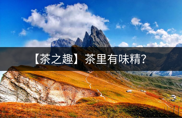 【茶之趣】茶里有味精？