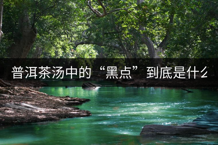 普洱茶湯中的“黑點(diǎn)”到底是什么？