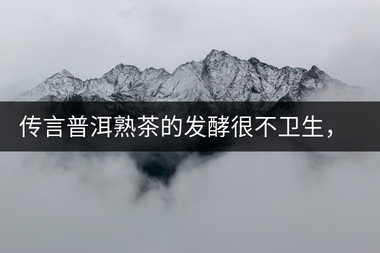 傳言普洱熟茶的發(fā)酵很不衛(wèi)生，是真的嗎？