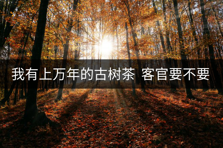 我有上萬(wàn)年的古樹(shù)茶  客官要不要嘗嘗？