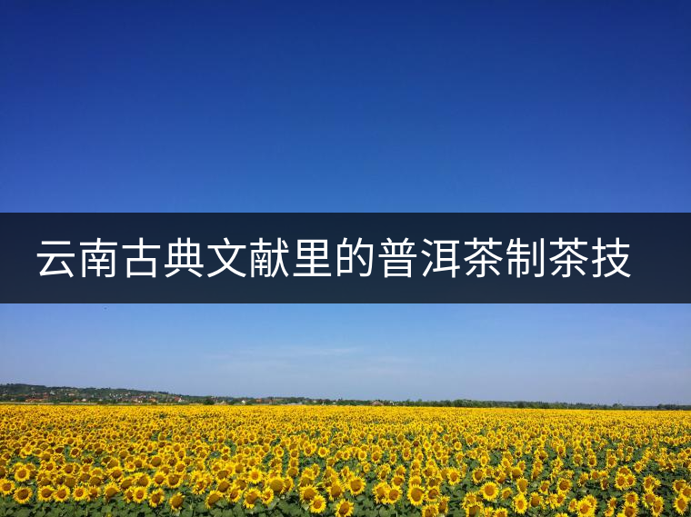 云南古典文獻里的普洱茶制茶技藝 云南古典文獻里的普洱茶制茶技藝