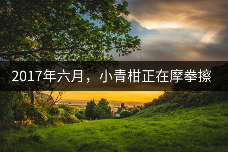 2017年六月，小青柑正在摩拳擦掌