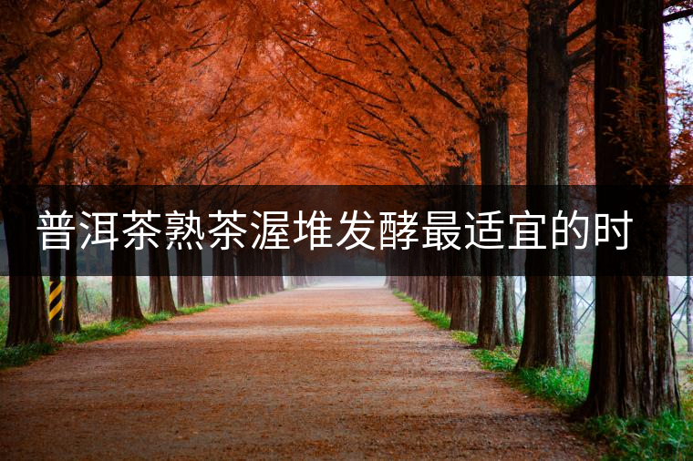 普洱茶熟茶渥堆發(fā)酵最適宜的時期是什么時候？
