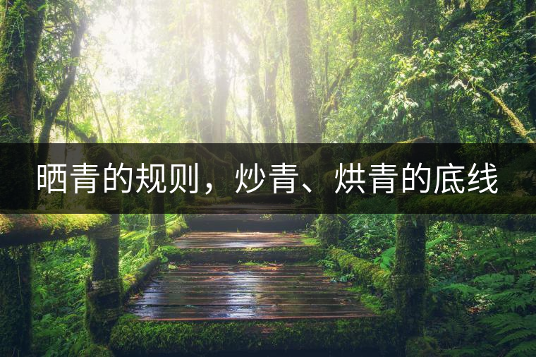 曬青的規(guī)則，炒青、烘青的底線