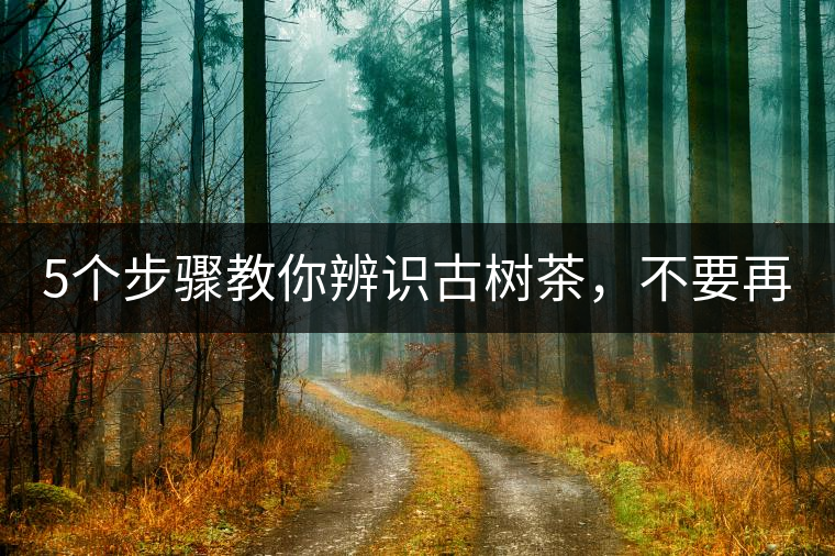 5個(gè)步驟教你辨識(shí)古樹(shù)茶，不要再被騙了！