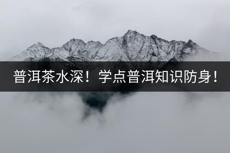 普洱茶水深！學(xué)點普洱知識防身！