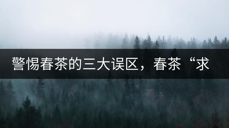 警惕春茶的三大誤區(qū)，春茶“求早”不如“求好”！