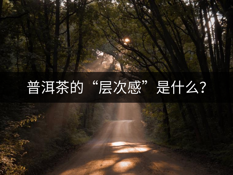 普洱茶的“層次感”是什么？
