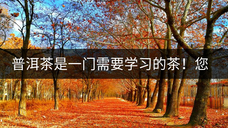 普洱茶是一門(mén)需要學(xué)習(xí)的茶！您學(xué)到了多少？看看專(zhuān)家怎么說(shuō)