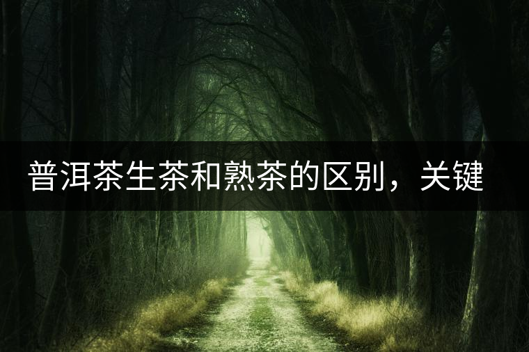 普洱茶生茶和熟茶的區(qū)別，關(guān)鍵在于前半生