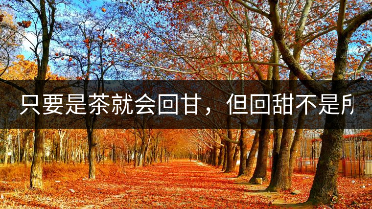 只要是茶就會(huì)回甘，但回甜不是所有茶都有！