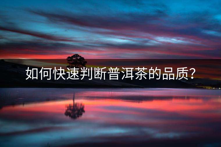 如何快速判斷普洱茶的品質(zhì)？