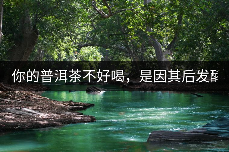 你的普洱茶不好喝，是因其后發(fā)酵能力不夠！