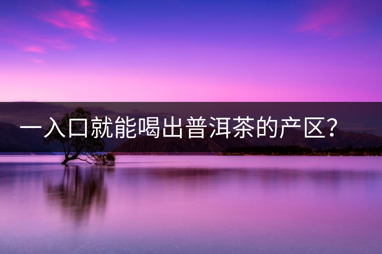 一入口就能喝出普洱茶的產(chǎn)區(qū)？怎么能不讀這篇文章呢？