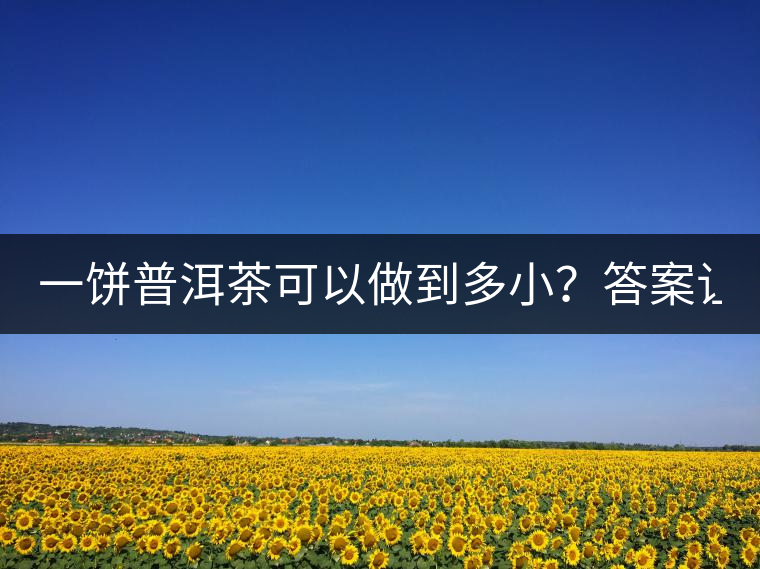 一餅普洱茶可以做到多小？答案讓人意想不到...