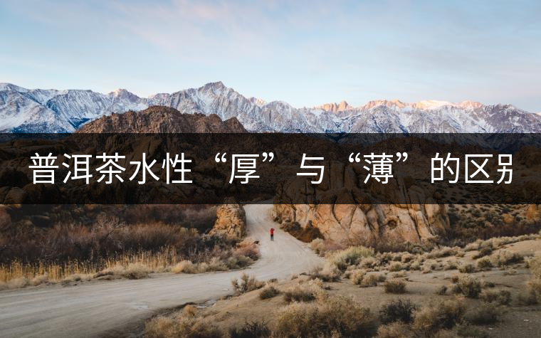 普洱茶水性“厚”與“薄”的區(qū)別！