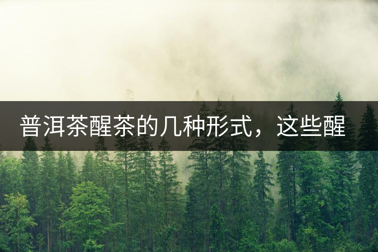 普洱茶醒茶的幾種形式，這些醒茶方法你都會了嗎？