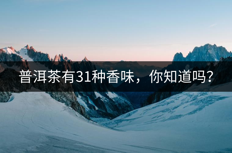 普洱茶有31種香味，你知道嗎？