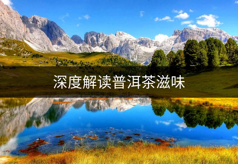 深度解讀普洱茶滋味 深度解讀普洱茶滋味