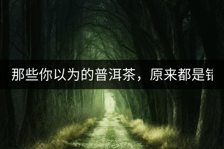 那些你以為的普洱茶，原來都是錯的！