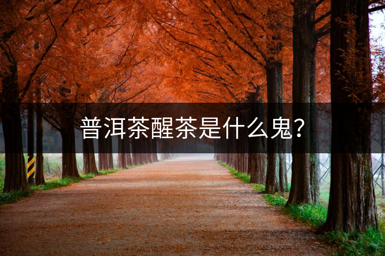 普洱茶醒茶是什么鬼？