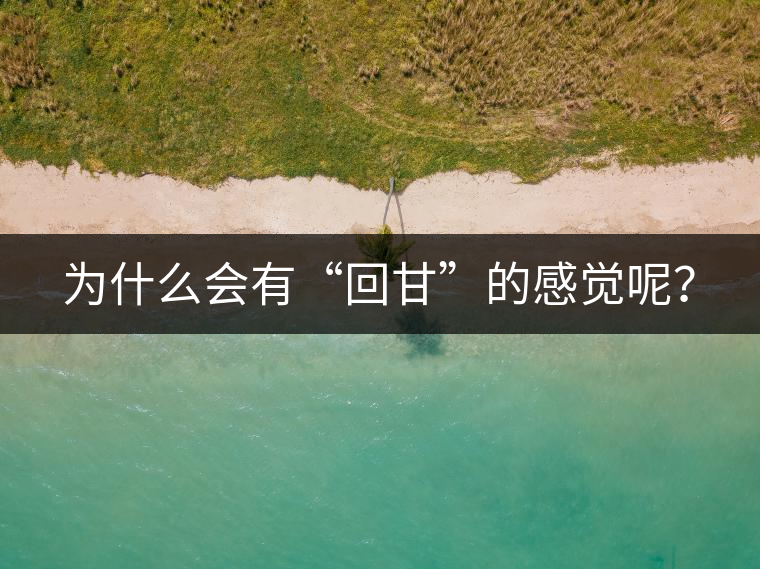 為什么會(huì)有“回甘”的感覺(jué)呢？