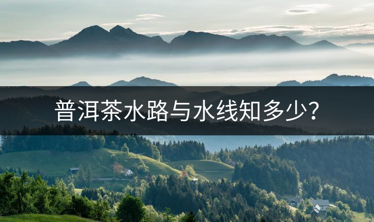 普洱茶水路與水線知多少？