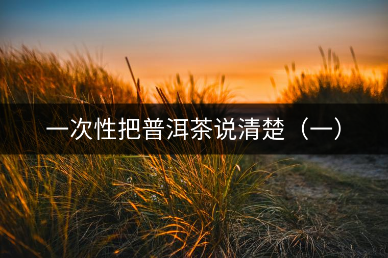 一次性把普洱茶說清楚(一) 一次性把普洱茶說清楚(一)