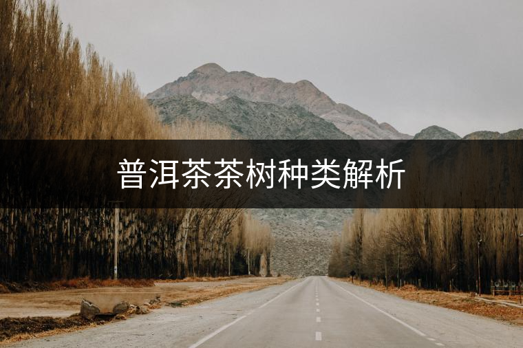 普洱茶茶樹(shù)種類解析 普洱茶茶樹(shù)種類解析