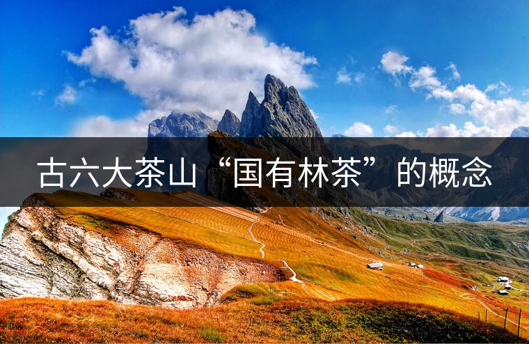 古六大茶山“國有林茶”的概念