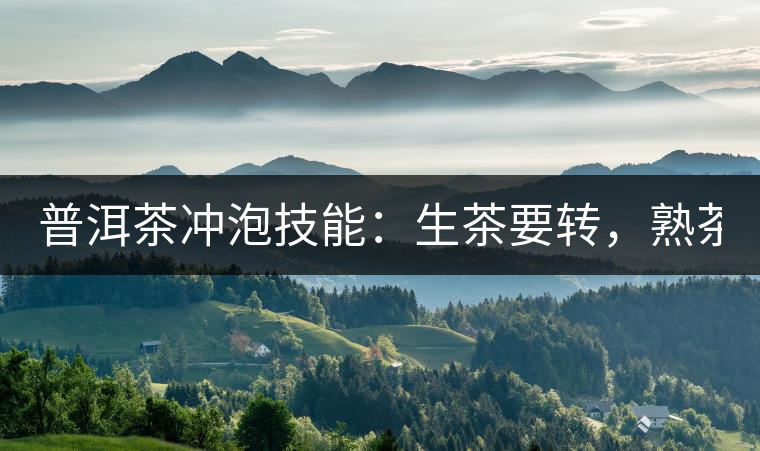 普洱茶沖泡技能：生茶要轉(zhuǎn)，熟茶要柔！