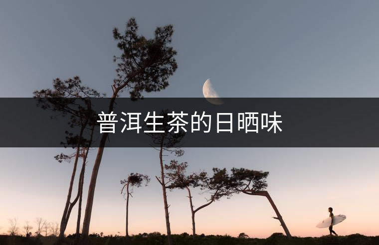 普洱生茶的日曬味