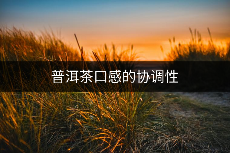 普洱茶口感的協(xié)調(diào)性