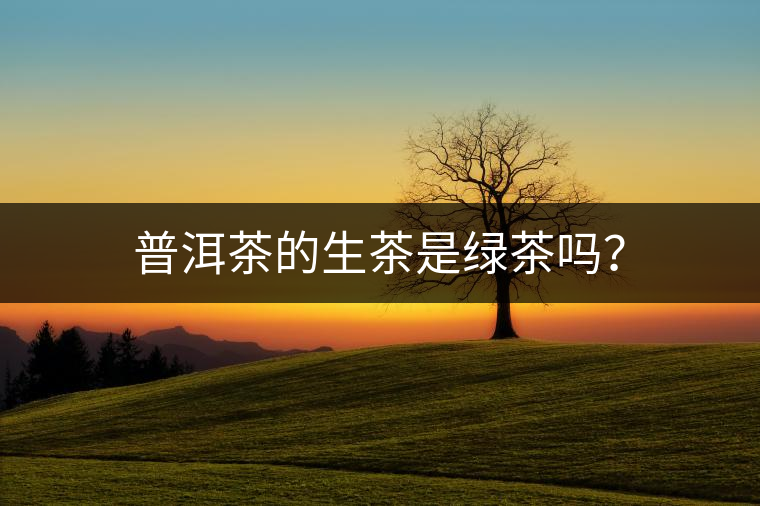 普洱茶的生茶是綠茶嗎？