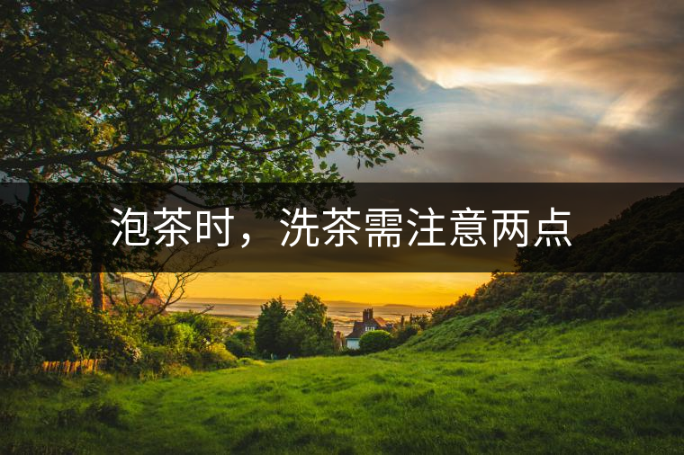 泡茶時，洗茶需注意兩點