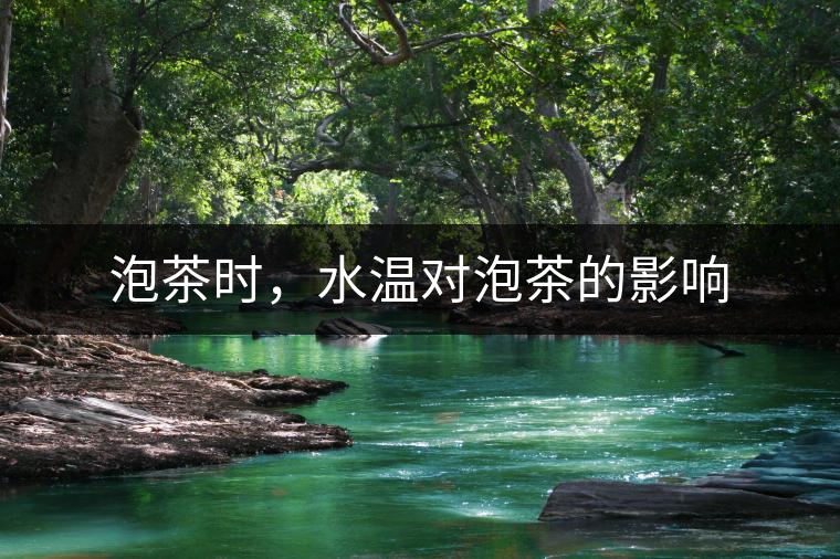 泡茶時(shí)，水溫對(duì)泡茶的影響