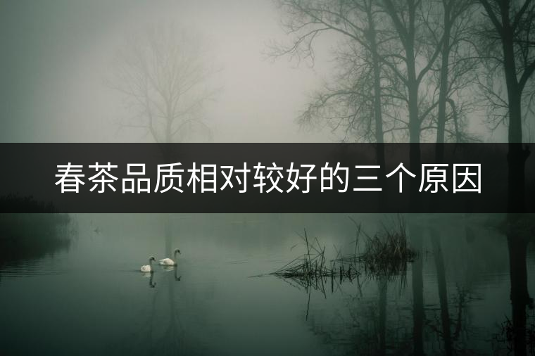 春茶品質(zhì)相對較好的三個(gè)原因 春茶品質(zhì)相對較好的三個(gè)原因