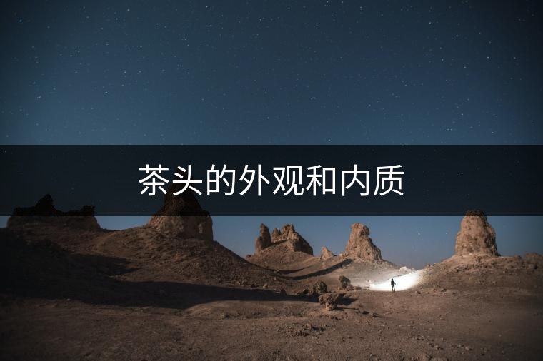 茶頭的外觀(guān)和內(nèi)質(zhì) 茶頭的外觀(guān)和內(nèi)質(zhì)